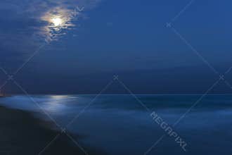 Moonlit Night