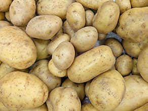 potatoes, vegetables, natural, tasty, autumn, stall, beautiful
