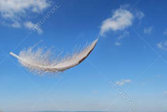 Feather floating in the sky
