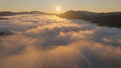 Sun morning forest mist dawn sunrise tree landscape nature aerial