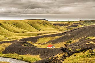 Icelandic Landscape in Yellow