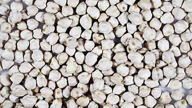 Dried chickpeas background close up rotating