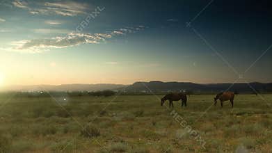 Early morning Cloudscape with feeding horses