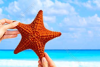 Star fish