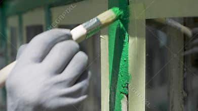 Hand applies green paint on wooden window