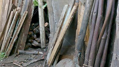 Dog looking for lizards or mice in stacked firewood