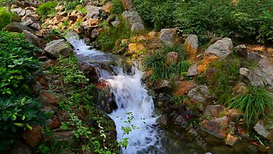 Tropical garden with waterfall