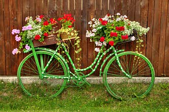 Vintage Bicycle with Flowers