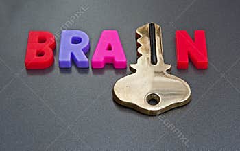 Brain holds the key