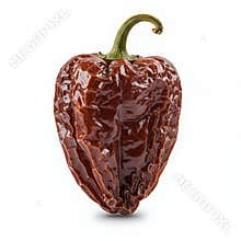 Dark Brown Dried Habanero Pepper Isolated on White Background