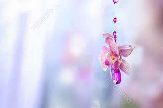 Flowers crystal beads decorative for wedding, background for car