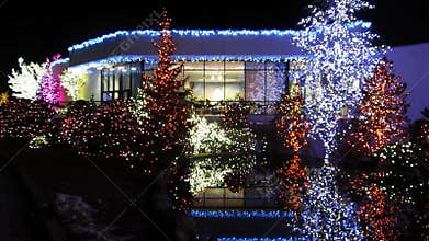 Festival of Lights in December