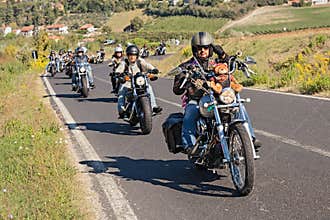 A group of bikers riding Harley Davidson