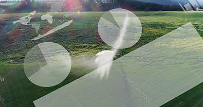 Flying over green landscape, white bird with animation overlay of data visualization