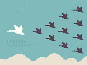 Leadership
