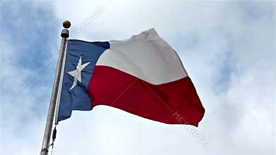 Texas State Flag