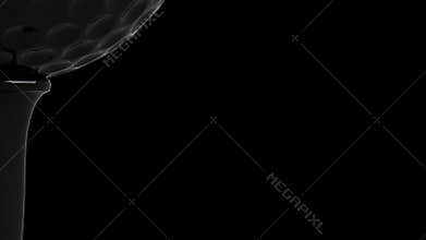 Rotating golf ball on tee, stock footage