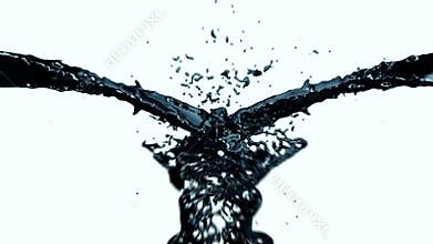Oil or Ink Splash, stock footage
