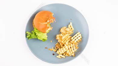 Hamburger and Fries