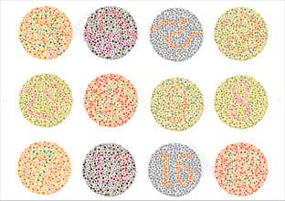 Ishihara Test. , color blindness disease.