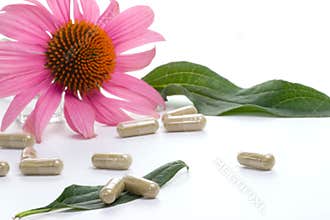 Echinacea capsules