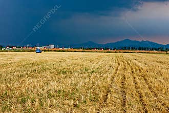 Farm after harvest
