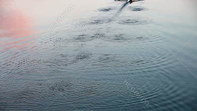 Rowing at dusk - leaving wonderful waving pattern