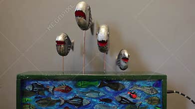 School of piranhas swim turning from side to side