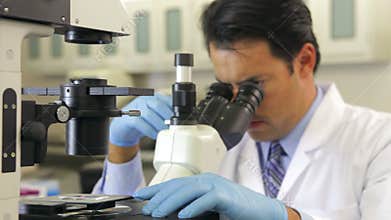 Male Scientist Using Microscope In Laboratory