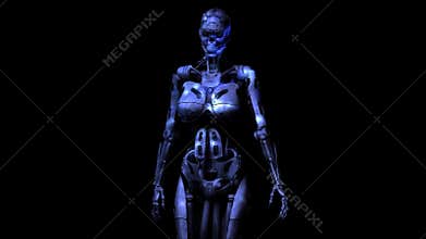 Cyborg