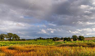 Landscape cheshire England