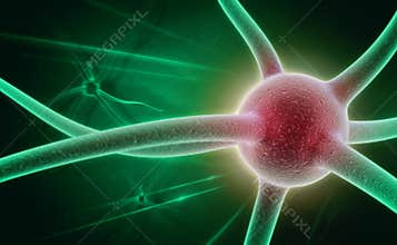 Neuron