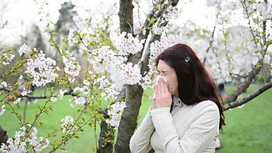 Spring allergy- video with sound