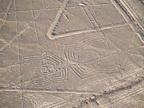 Nazca Lines