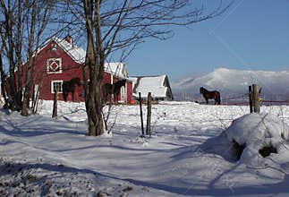 Vermont Horse Barn