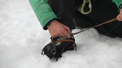 Lacing up the crampons. Climber mountaineer is taking up ice crampons before climbing up and passing a glacier.