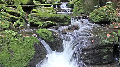 Flowing stream in the forest