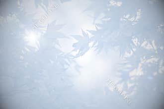 Mourning background with leaves in shades of grey