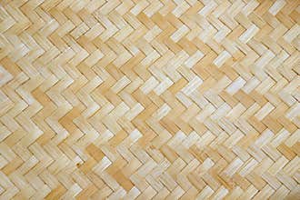 Bamboo wood texture