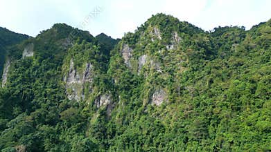 Aerial View on Forest Nature and Green Wood Trees in Landscape of Mountain Hills