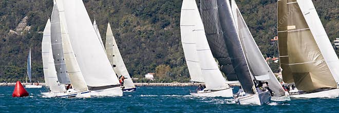 Sailboat Racing