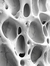 Nanostructured layers detailed textures inspired by nanoscale patterns in biomaterials