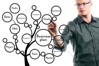 Businessman drawing conceptual business plan tree