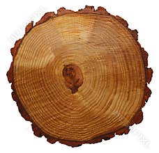 Tree Rings