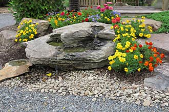 Garden Waterfall and Flowers