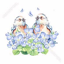 Small songbirds and violet flowers bouquet with butterflies blue. Eastern bluebird with blooming saffron. Hand drawn