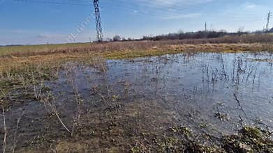 too compact and impermeable soil does not absorb water during rains and floods. a lake was created in the park in