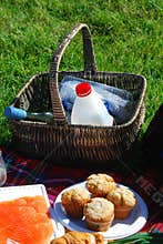 Summer picnic