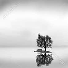 Private Island