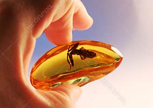 Amber